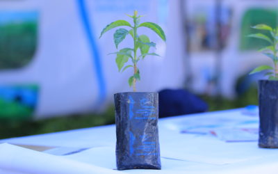 Yemeni National Coffee Day — 2022 edition